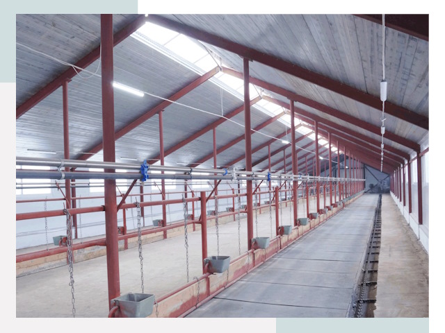 Строительство коровников в Моршанске от 623 руб.