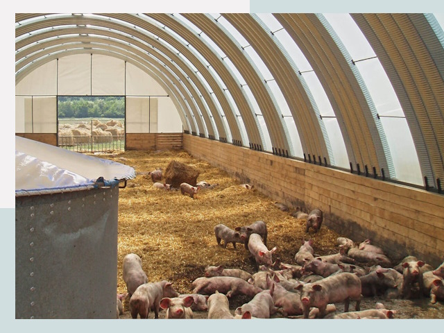 Строительство свинарников в Моршанске