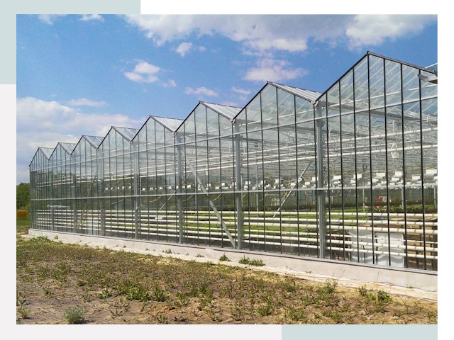 Строительство теплиц в Моршанск от 623 руб. за м²