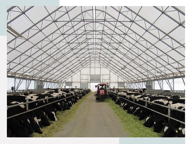 Тентовые коровники в Моршанске от 623 руб. - Надежно и доступно